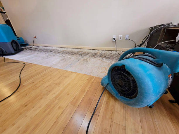 Professional Flood Damage Cleanup technician working in Fultonham, OH